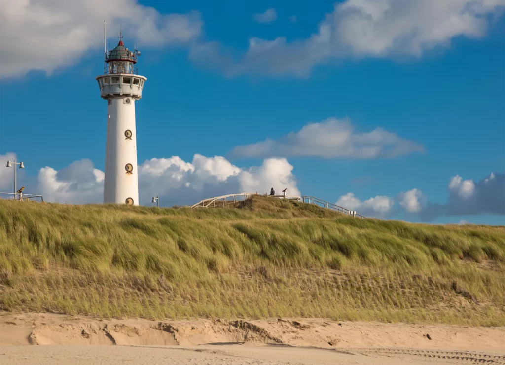 Teamuitje Duinwandeling met gids dtevents
