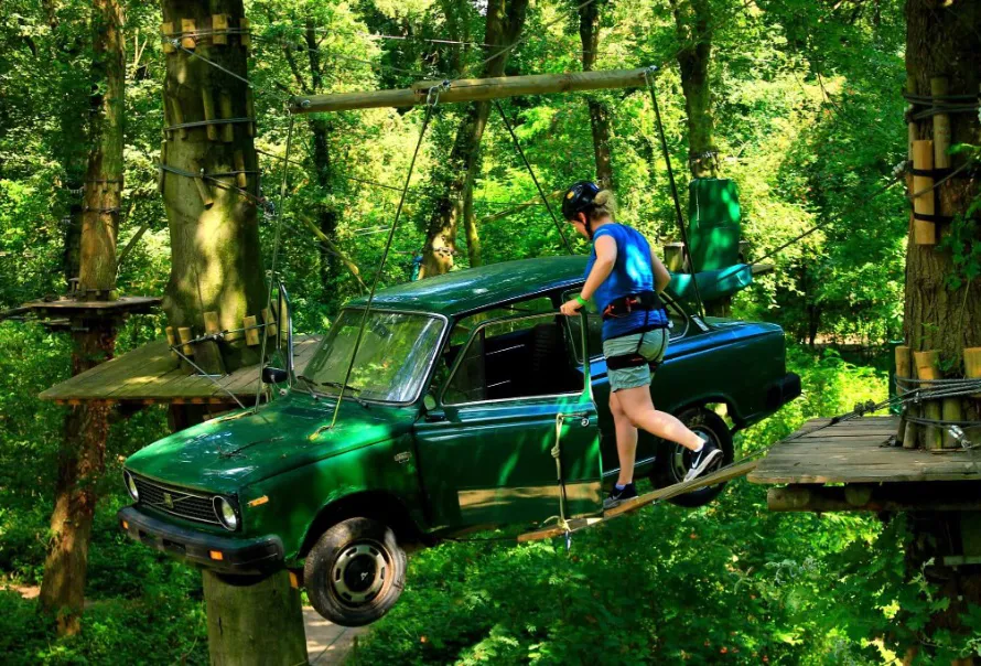 Teamuitje klimmen in het bos dtevents