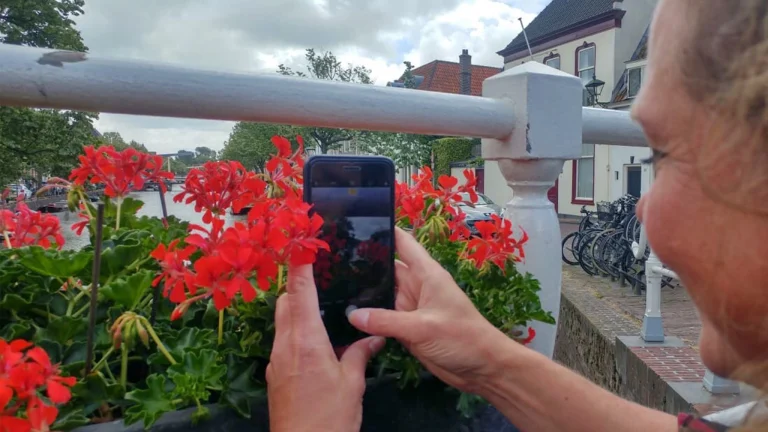 Workshop fotografie met je smartphone