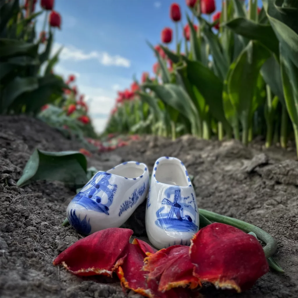 Teamuitje het perfectie kiekje in de bloemenvelden dtevents 