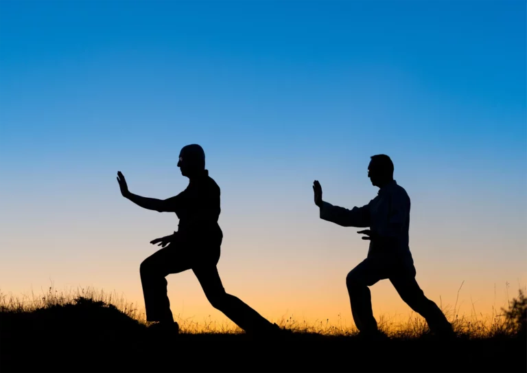 Workshop Tai Chi